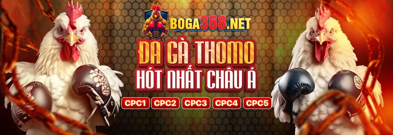 Hình ảnh chính 168vn nhà cái: Nền tảng giải trí trực tuyến hàng đầu Châu Á